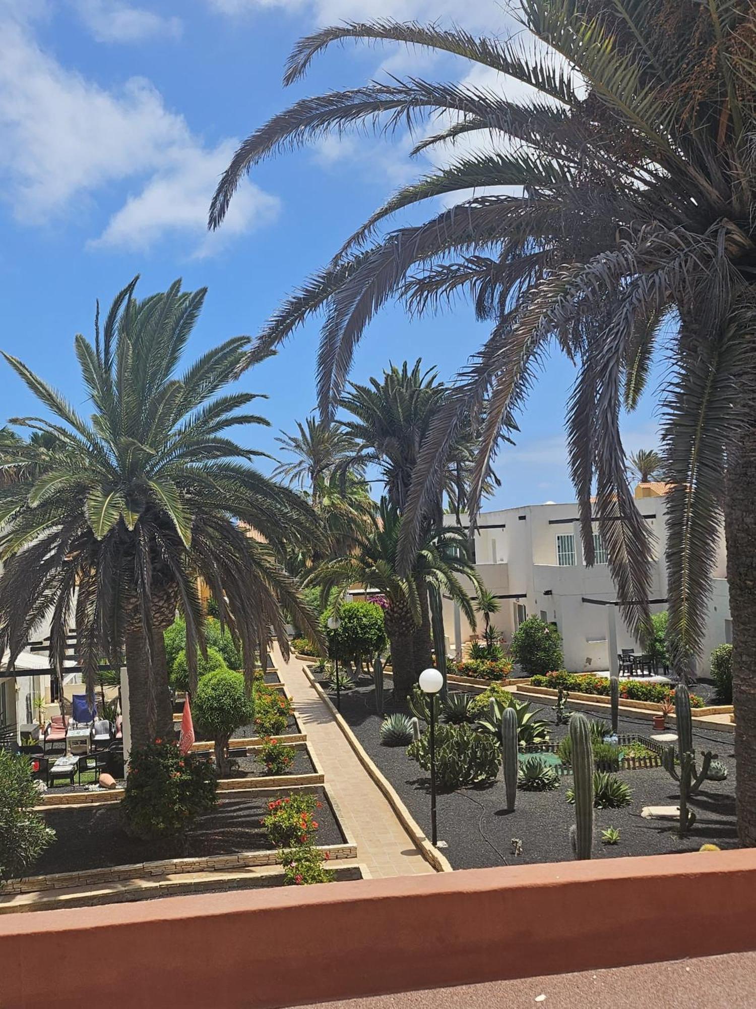 New Alisios Playa Appartement Corralejo Buitenkant foto