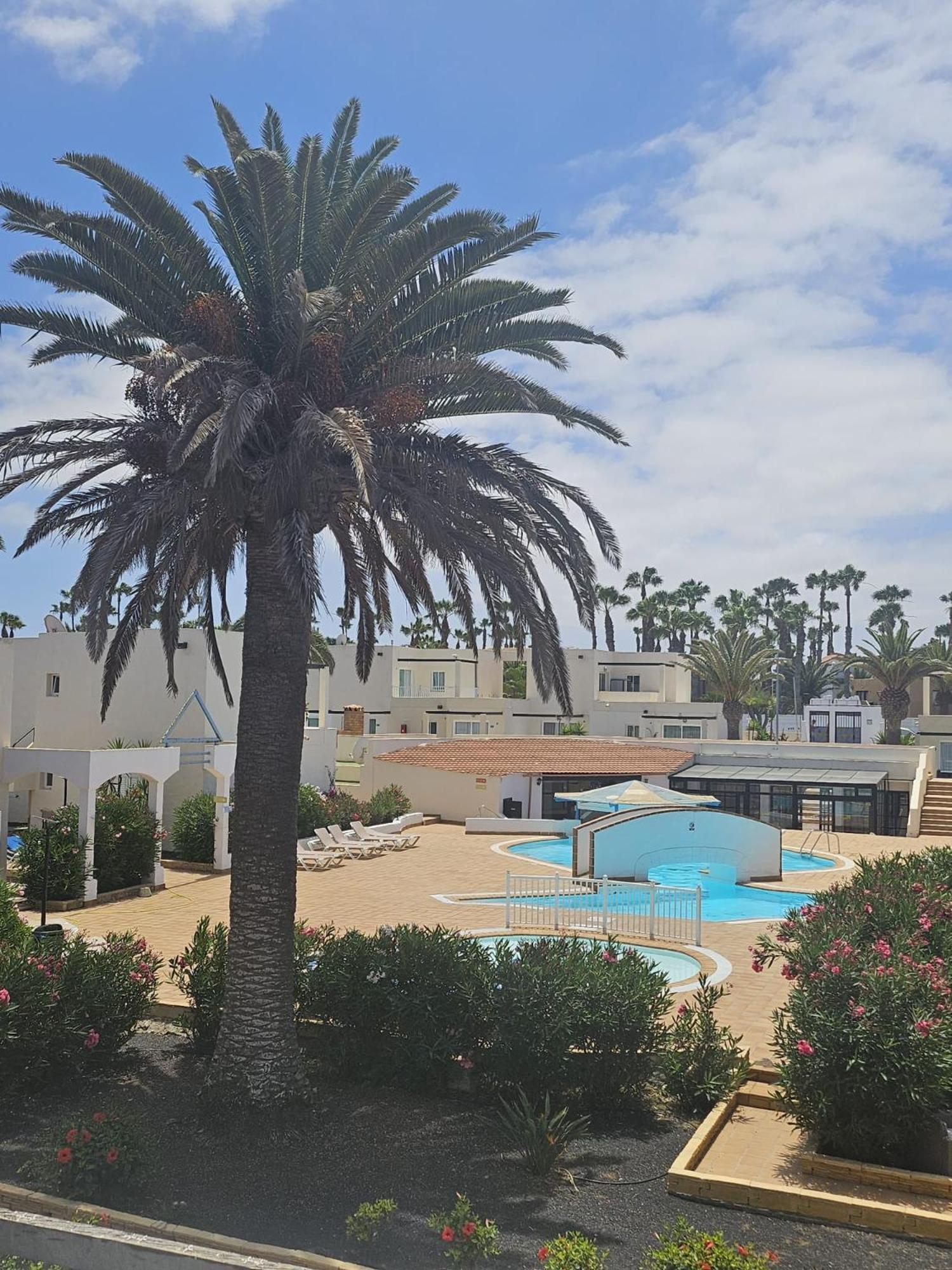 New Alisios Playa Appartement Corralejo Buitenkant foto